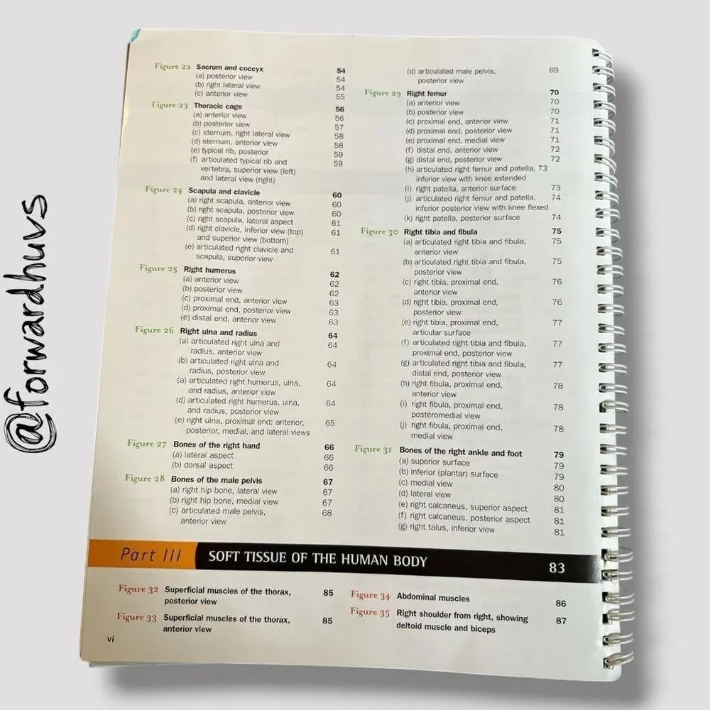 2007 Brief Atlas of the Human Body by Matt Hutchinson